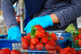 Verkauf von Erdbeeren
