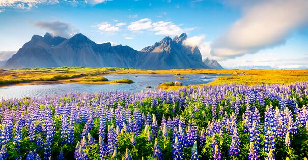 Vestrahorn