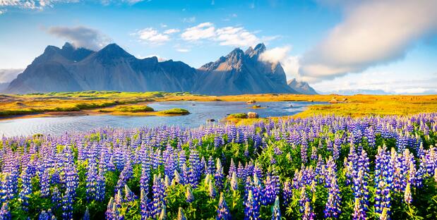 Vestrahorn