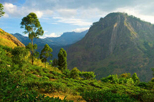 Wanderung im Hochland von Sri Lanka
