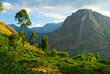 Wanderung im Hochland von Sri Lanka