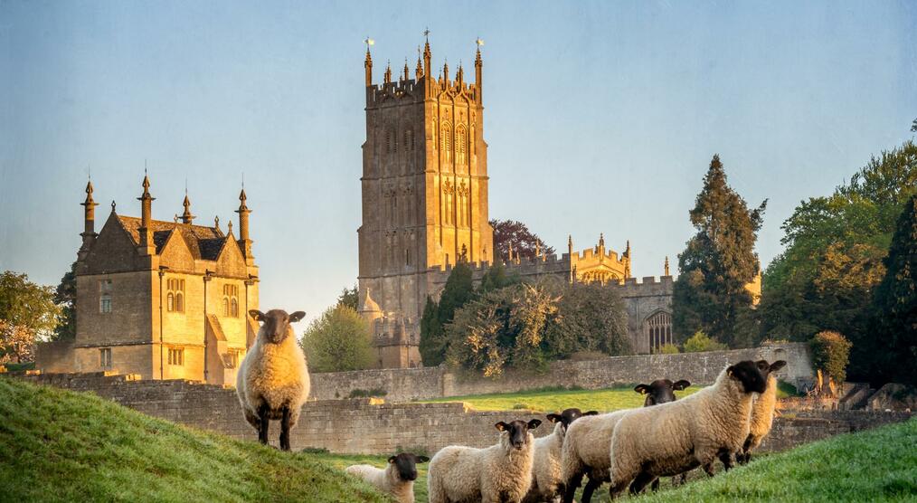 Cotswold Schafe vor einer Kirche in Chipping Campden bei Großbritannien Reisen