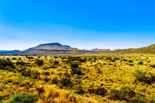 Landschaft in der Karoo Region