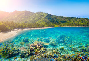 Lombok unter und über Wasser