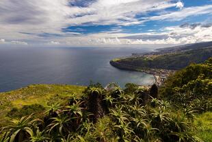 Pico do Facho