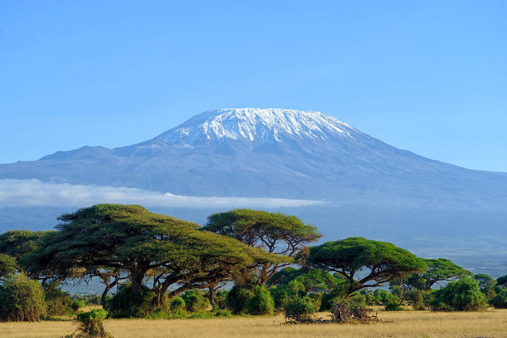 Blick auf den Kilimanjaro