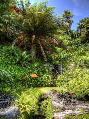 Der tropische Trebah Garden