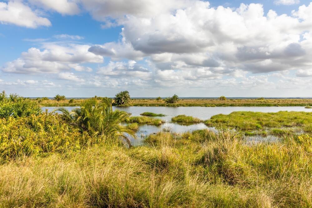 St. Lucia Wetlands