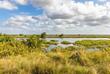 St. Lucia Wetlands