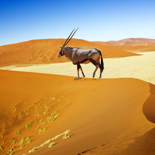 Sossuvlei