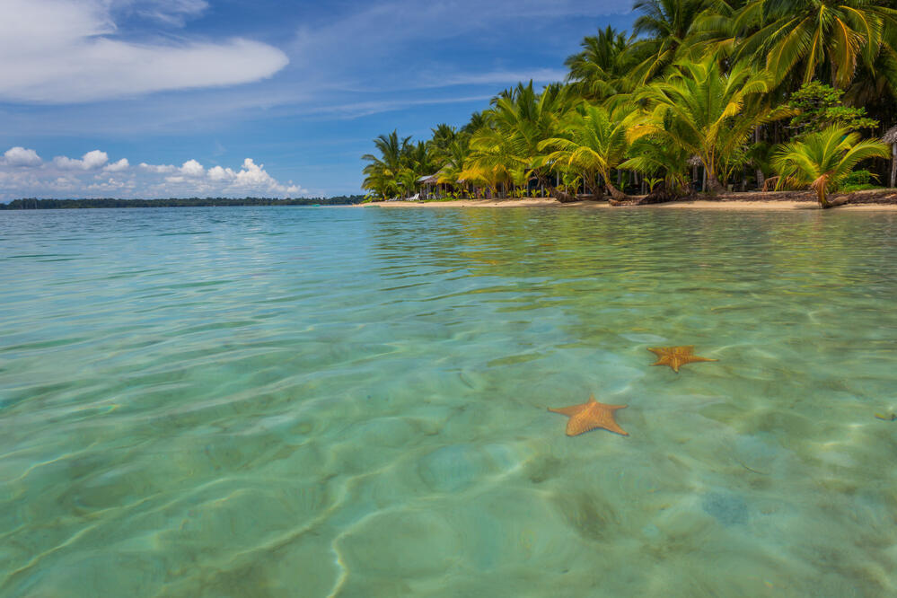 Starfish Beach