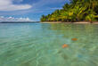 Starfish Beach