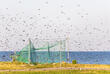 Vogelwarte Windenburger Eck