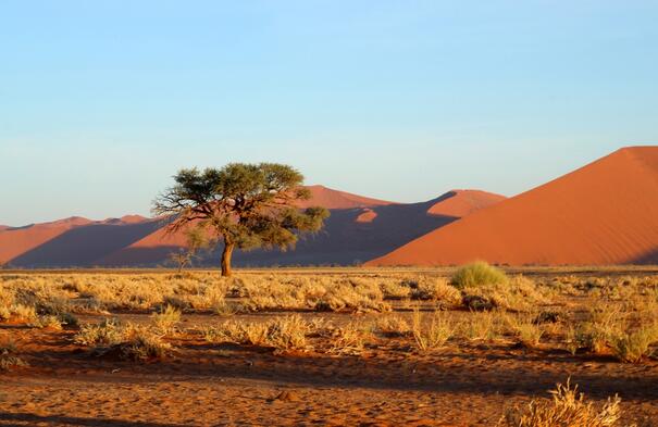 Dünen von Sossusvlei