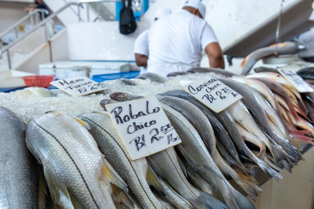 Fischmarkt 