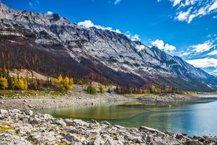 Jasper National Park