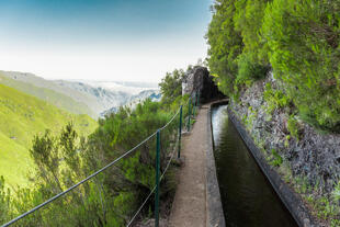 Levada do Alecrim