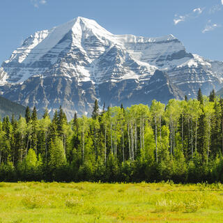 Mount Robson