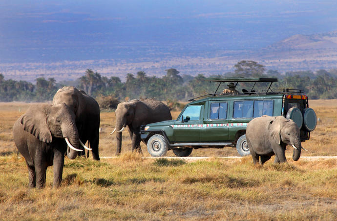 Safari im Masai Mara Nationalpark