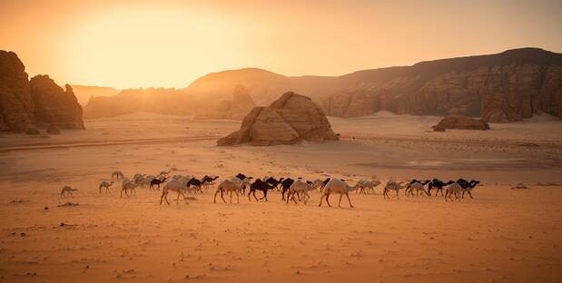 Saudi Arabien Landschaft