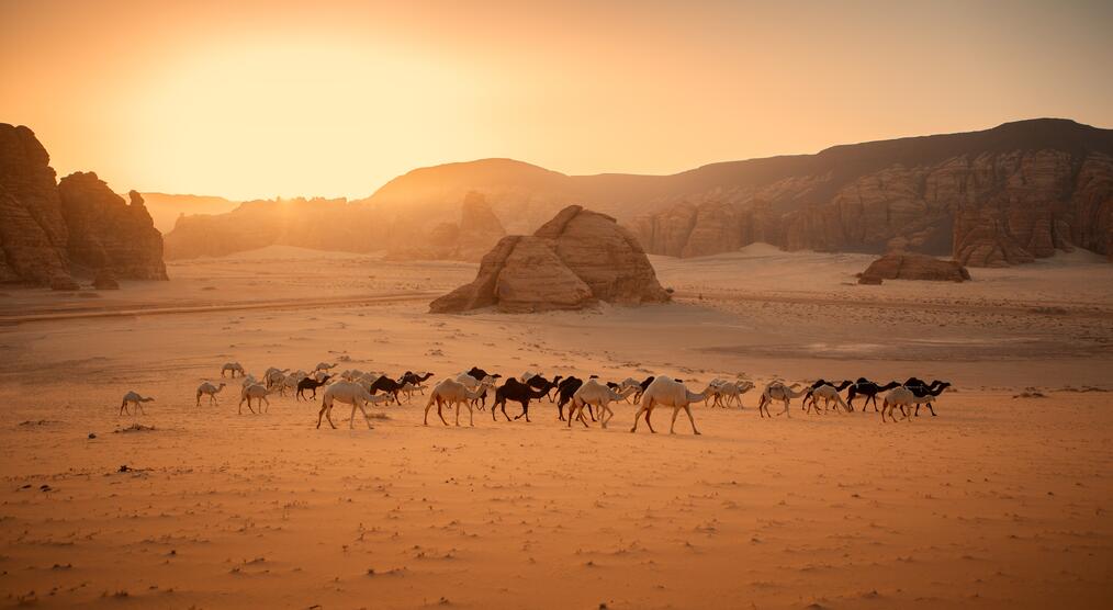 Saudi Arabien Landschaft
