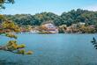 Kandy See