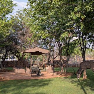 Kudu auf dem Gelände der Etosha Village Lodge
