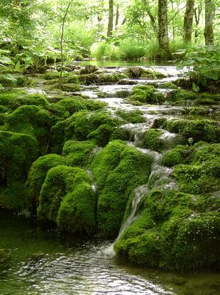 Nationalpark Kroatien