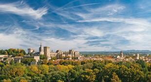 Avignon Panorama