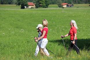 Nordic Walking