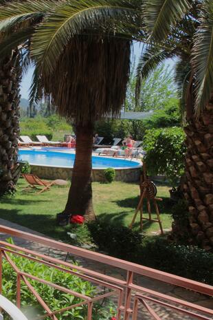 Pool und Hotelgarten