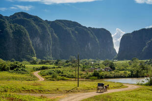 Viñales Tal