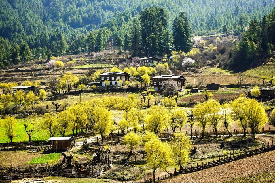 Bauernhäuser Bumthang