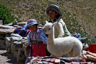 Peruaner auf dem Indiomarkt