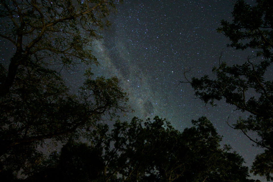 Sternenhimmel in der Nähe des Krüger Nationalparks