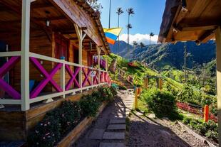 Cocora Tal