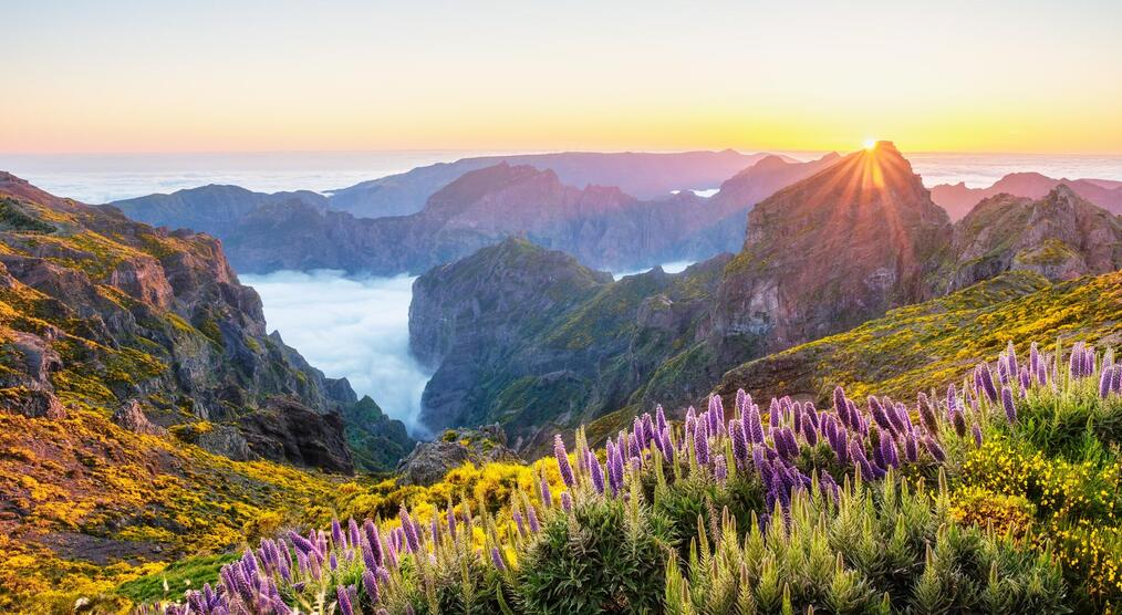 Ausblick vom Pico do Arieiro auf Madeira Wanderreisen