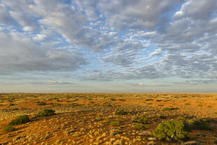 Blick auf die Kalahari Wüste