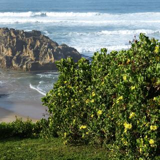 Gardenroute