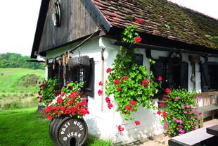 hübsches traditionelles kroatisches Häuschen
