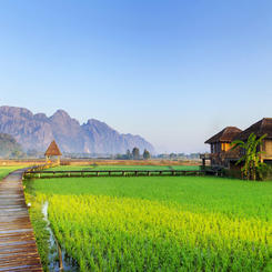 Reisfelder Vang Vieng