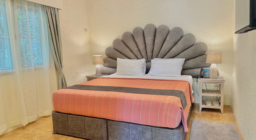 Zimmer Aurora
