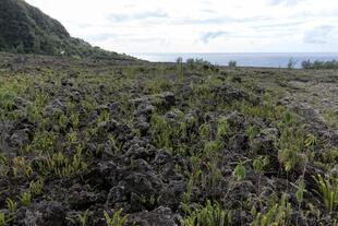 erstarrtes Lavafeld