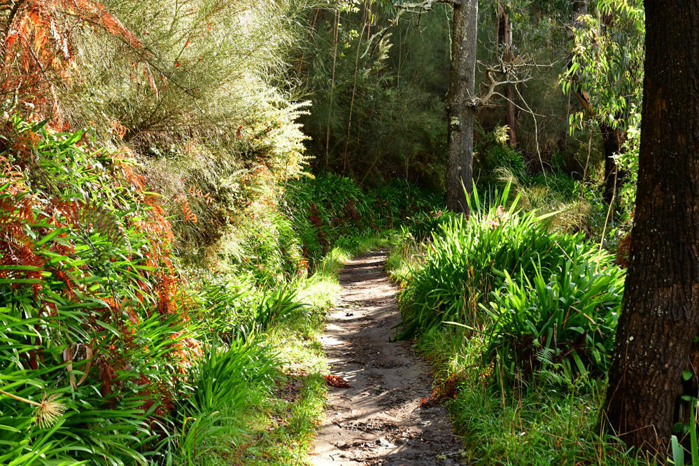  Levada da Serra do Faial