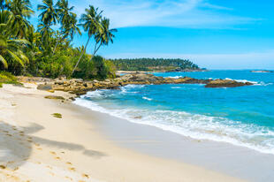 Tropischer Strand auf Sri Lanka