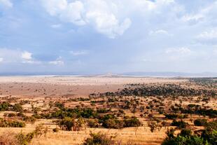 Grumeti Hills