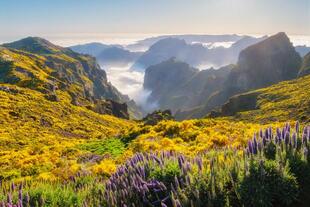 Pico do Arieiro