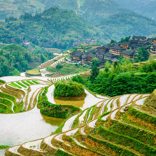 Reisterrassen in Longsheng