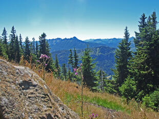 Wanderung, Alpspitzbahn