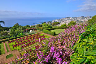 Botanischer Garten Funchal